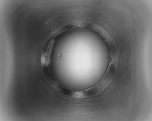 X0000102300095200807251444