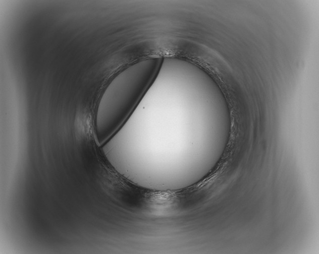 X0000102300096200807251444