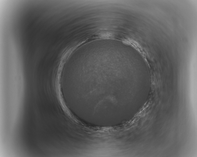 X0000102300097200807251443