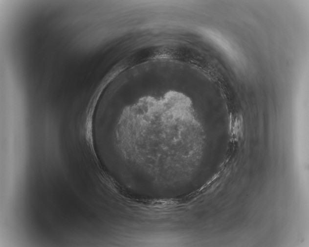 X0000102300099200807251443