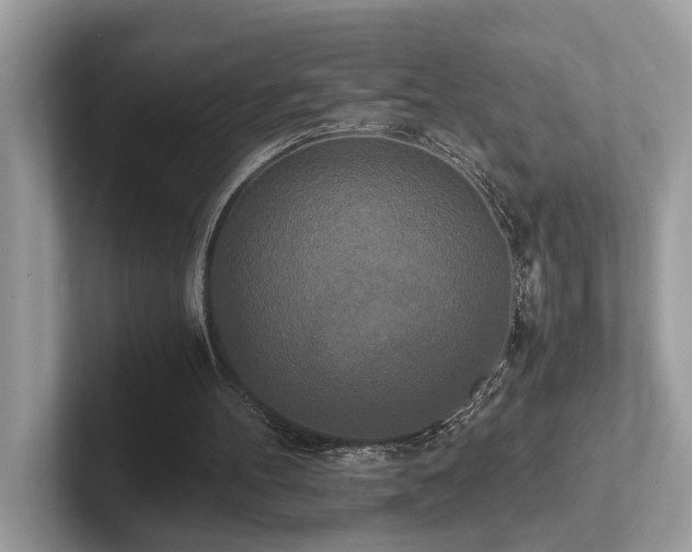 X0000102300100200807251443