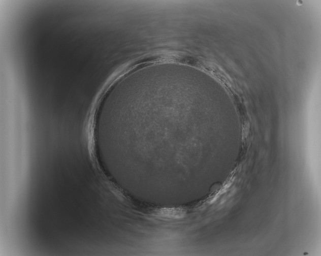 X0000102300101200807251443