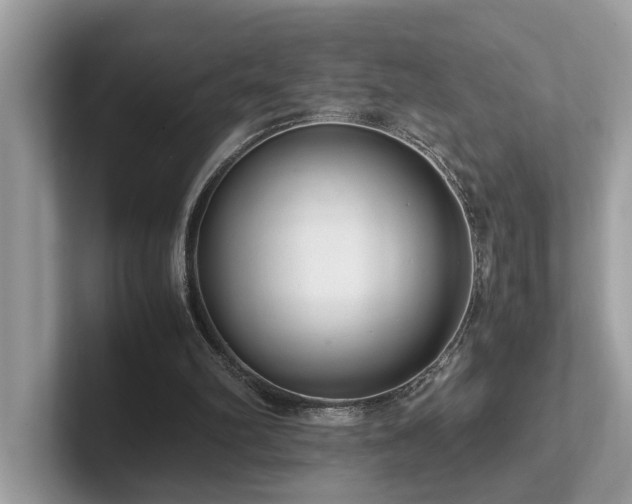 X0000102300102200807251443