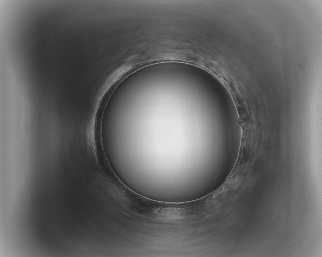 X0000102300104200807251443