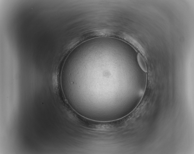 X0000102300105200807251443