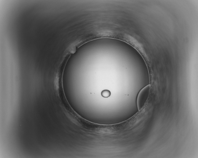 X0000102300106200807251443