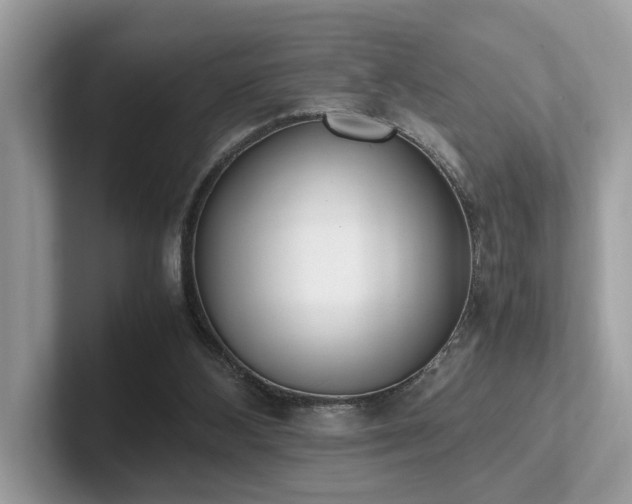 X0000102300108200807251443