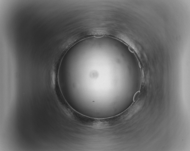 X0000102300109200807251443