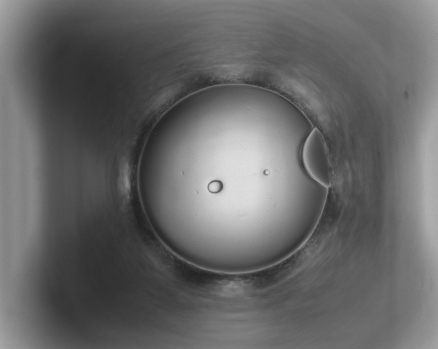 X0000102300115200807251443