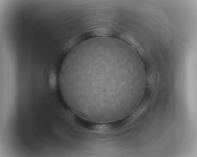 X0000102300117200807251443