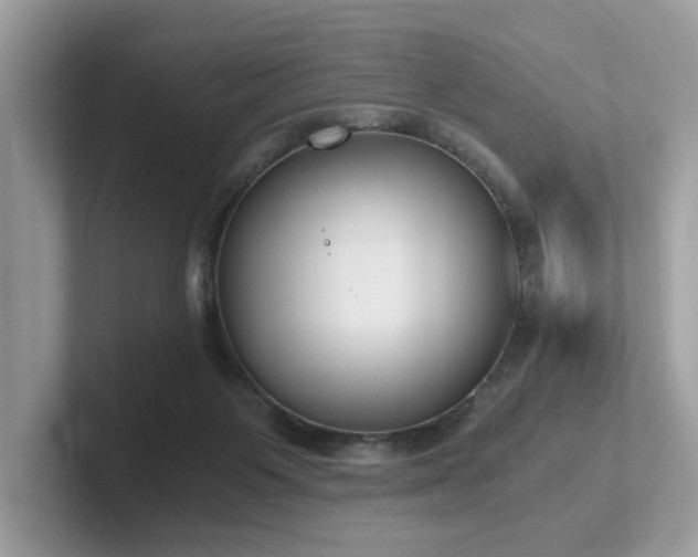 X0000102300119200807251443