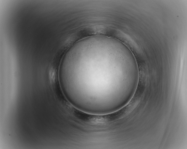 X0000102300123200807251443