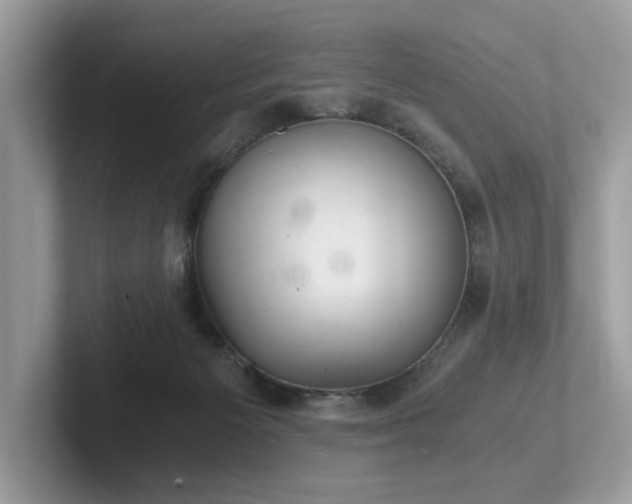 X0000102300125200807251443