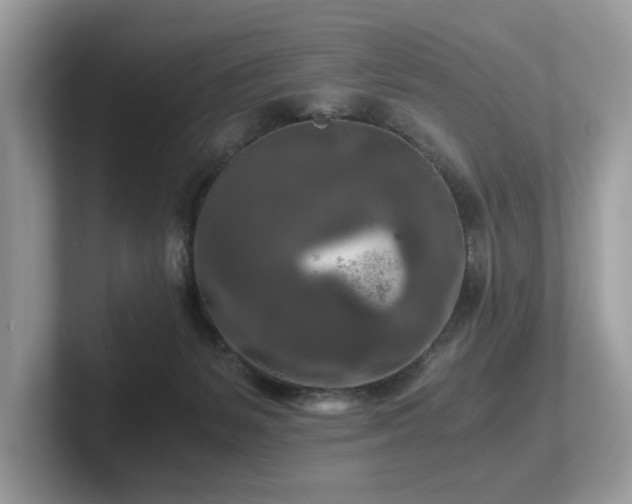 X0000102300127200807251443