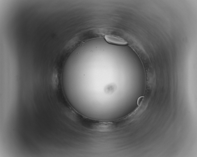 X0000102300128200807251443