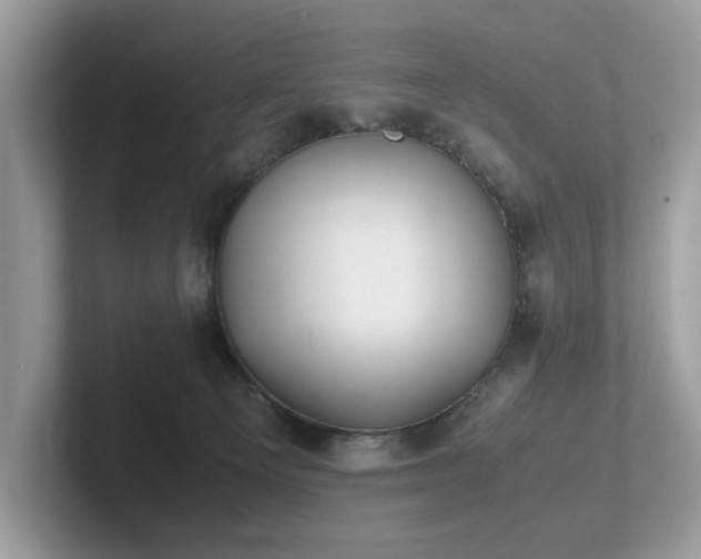 X0000102300129200807251442