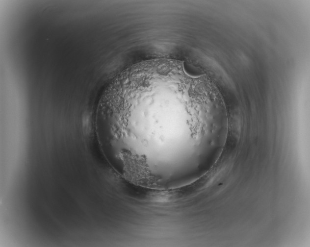 X0000102300131200807251442