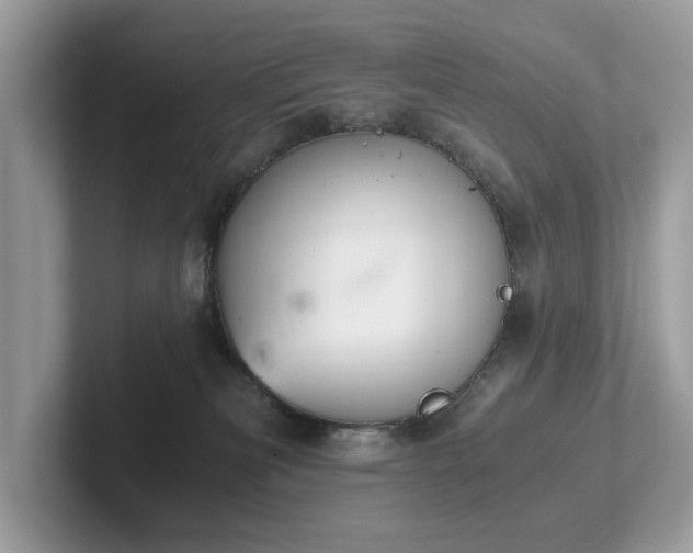 X0000102300133200807251442