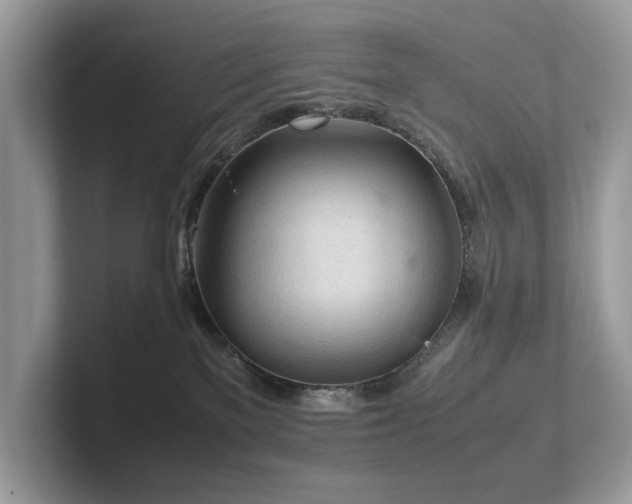 X0000102300137200807251442