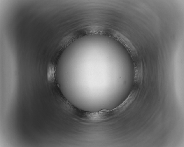 X0000102300142200807251442