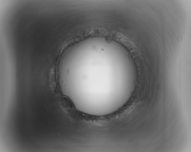 X0000102300144200807251442