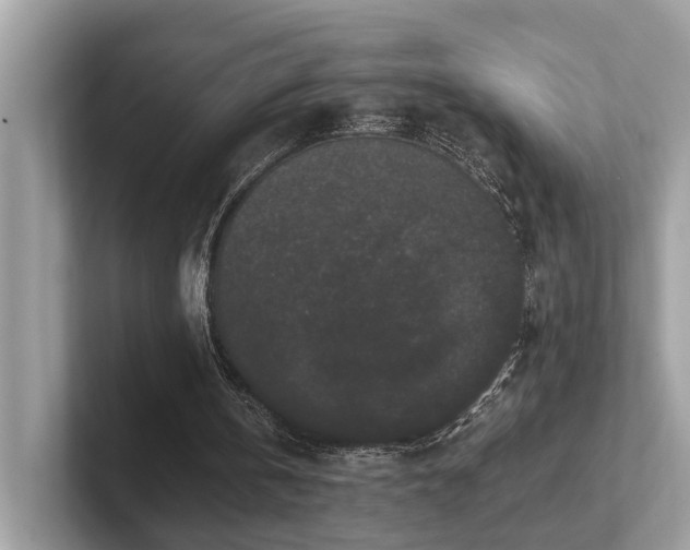 X0000102300146200807251442