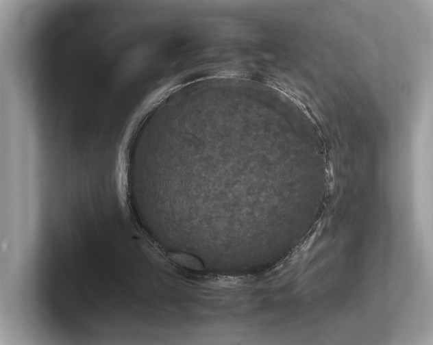 X0000102300149200807251442