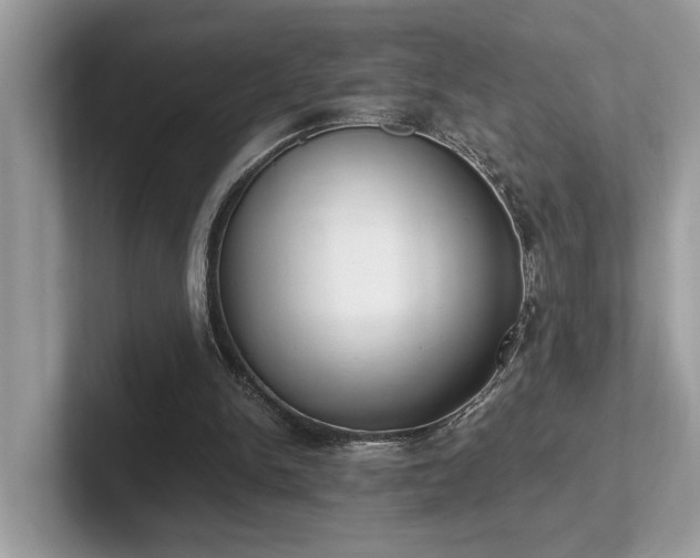 X0000102300150200807251442