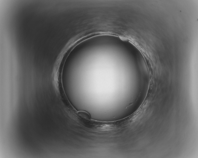 X0000102300151200807251442