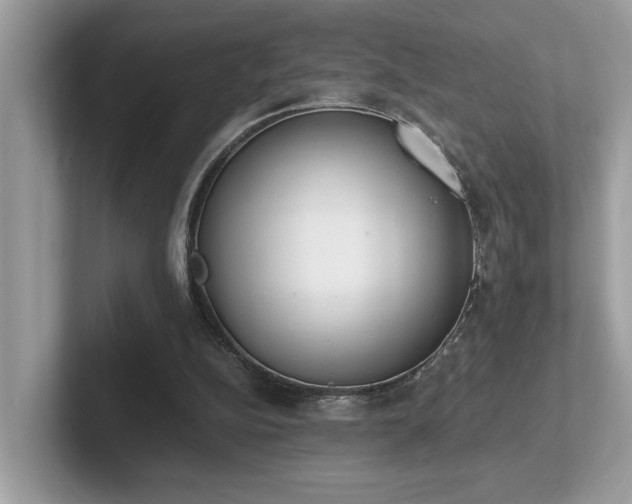 X0000102300152200807251442