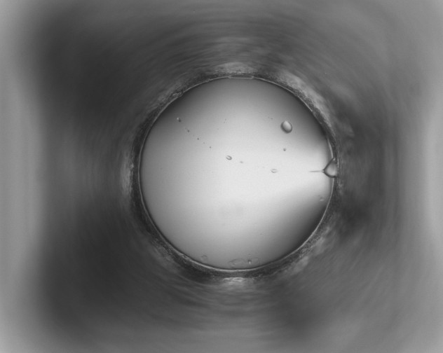 X0000102300153200807251442