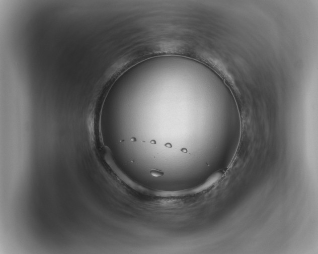 X0000102300154200807251442