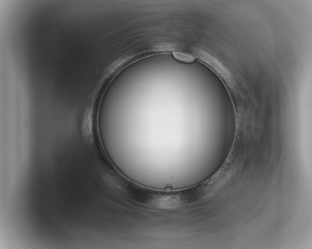 X0000102300155200807251442