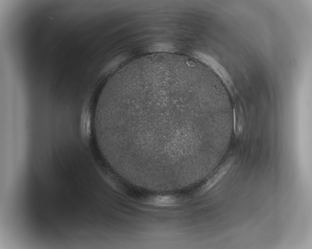 X0000102300157200807251442