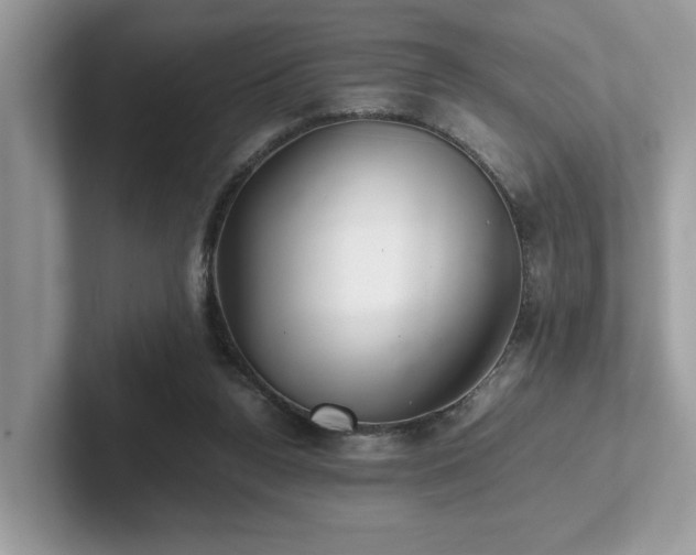 X0000102300160200807251442