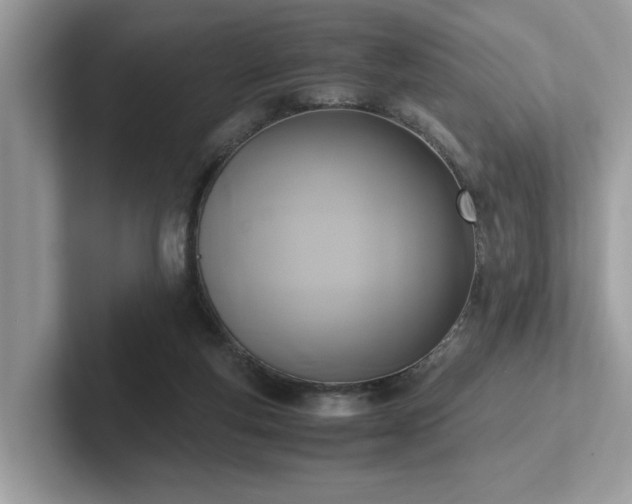 X0000102300163200807251442