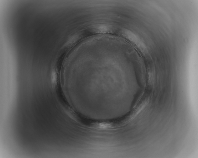 X0000102300165200807251442