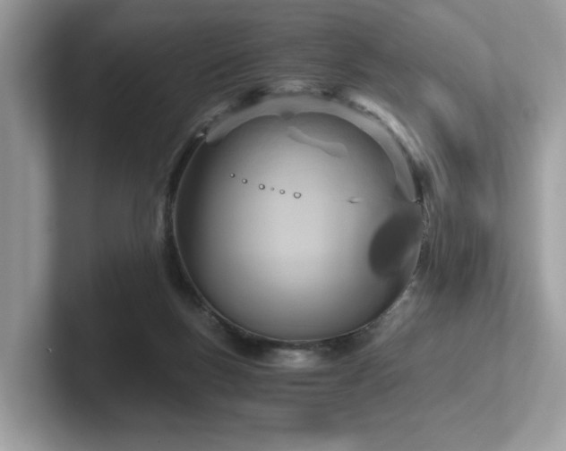 X0000102300167200807251442