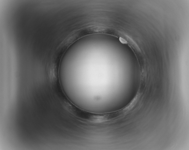 X0000102300170200807251442