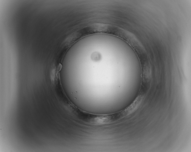 X0000102300172200807251442