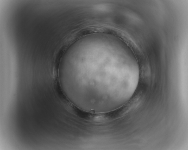 X0000102300173200807251442