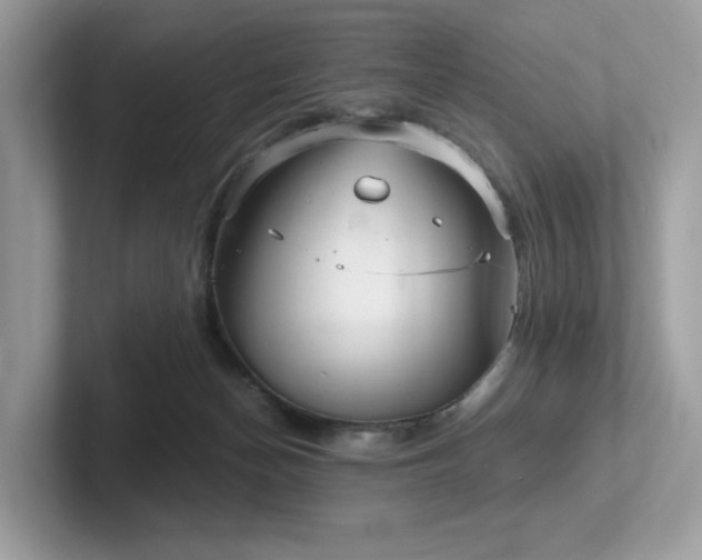 X0000102300174200807251442