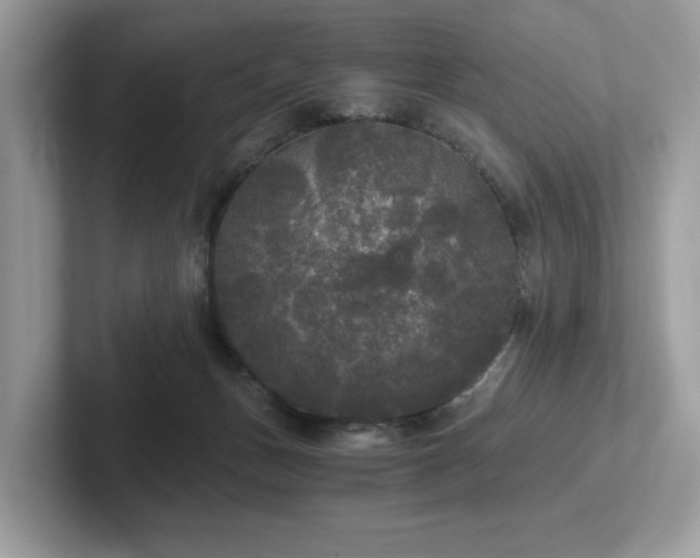 X0000102300175200807251442