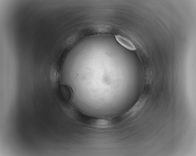 X0000102300176200807251442