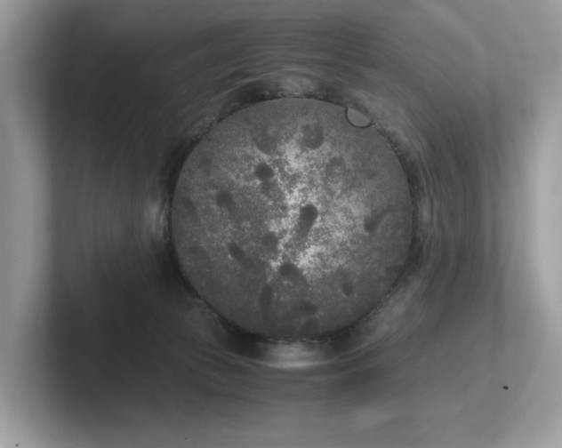 X0000102300177200807251442