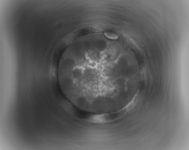 X0000102300178200807251442