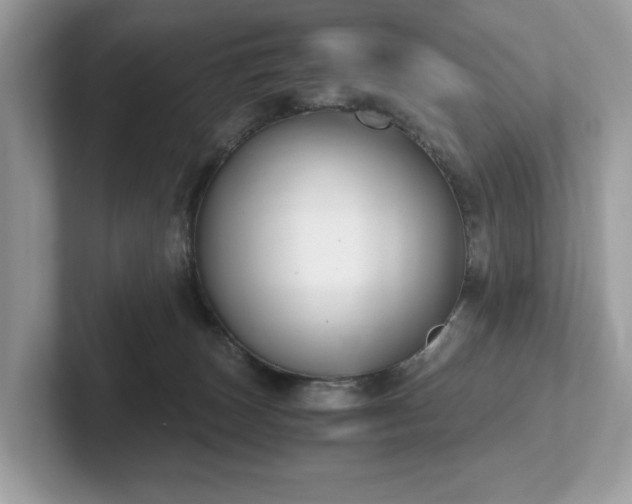 X0000102300179200807251442