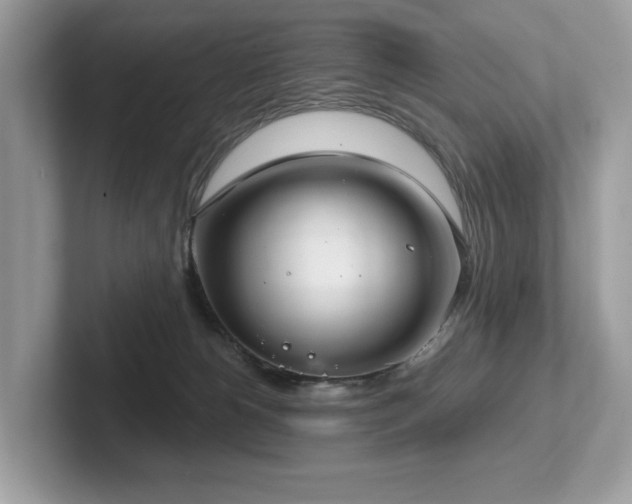 X0000102300180200807251442