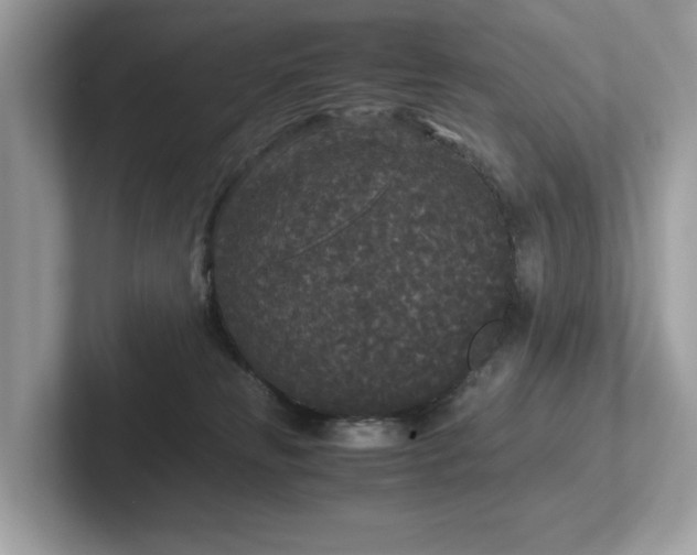 X0000102300181200807251442