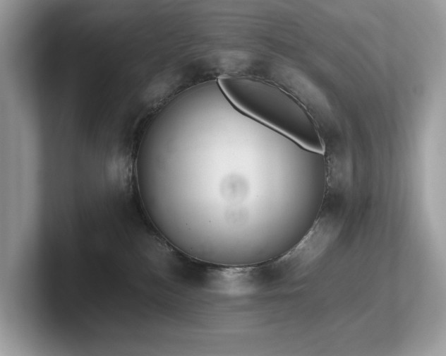 X0000102300184200807251442